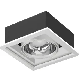 Models ceiling light